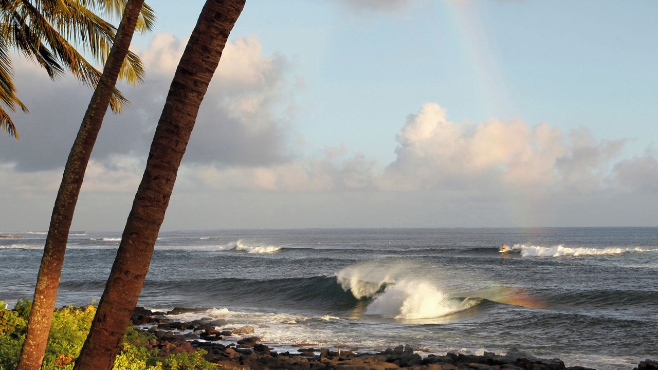 Photo of Others in Poipu