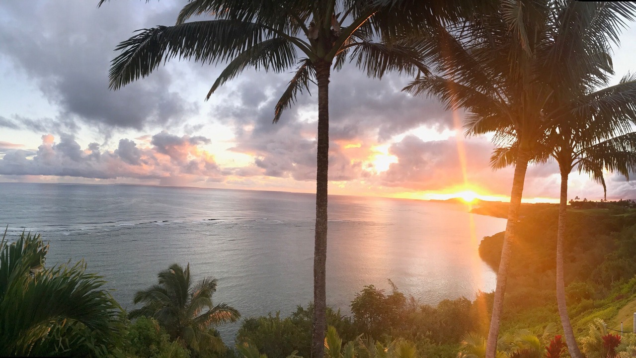 Photo of Others in Princeville