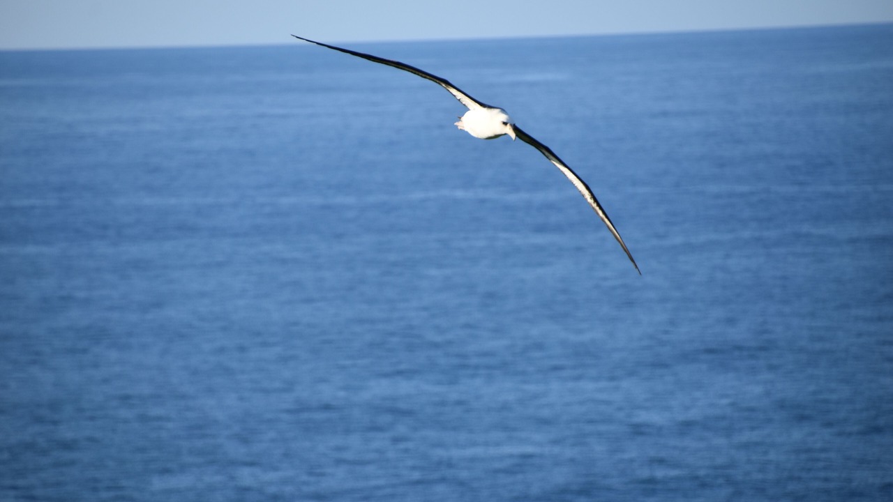 Photo of Others in Princeville