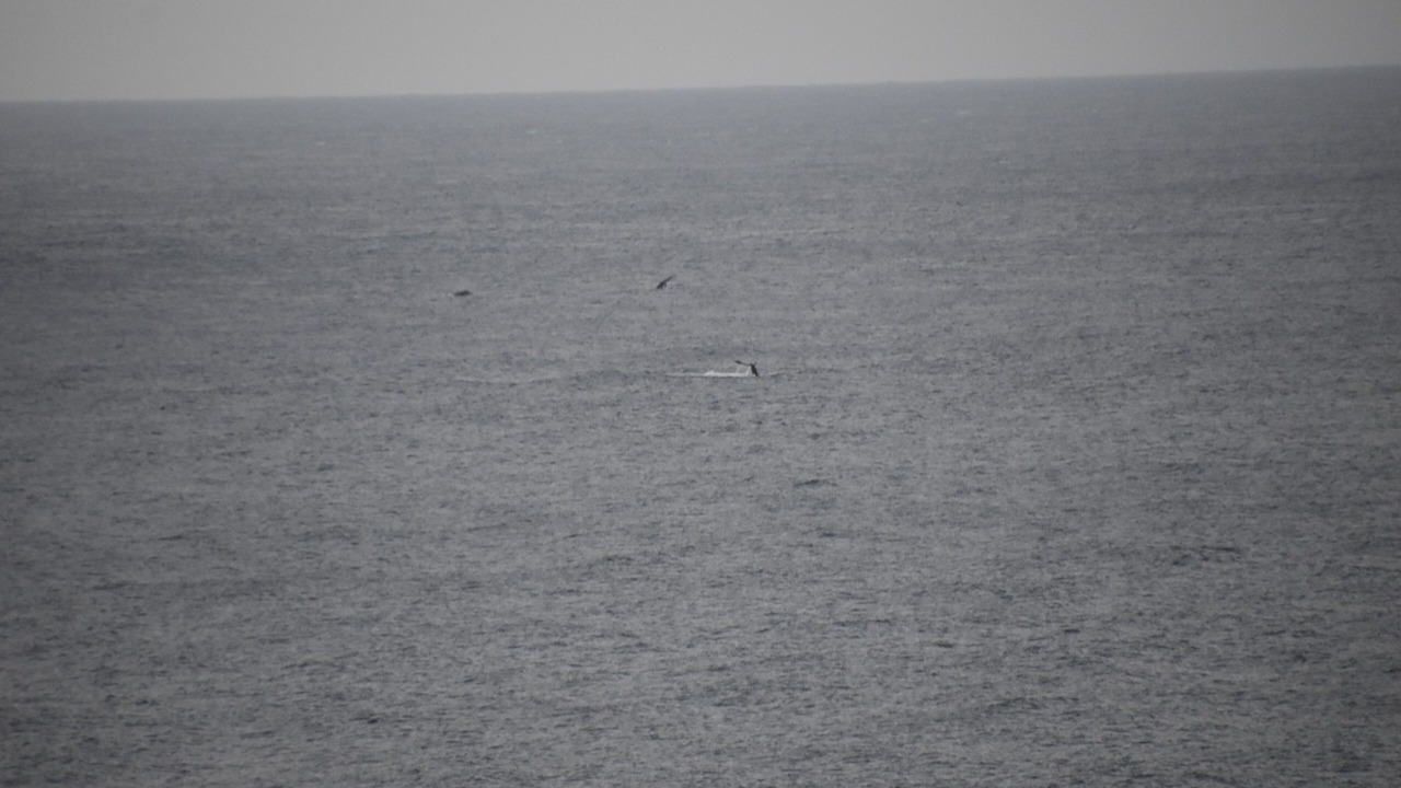 Photo of Others in Princeville