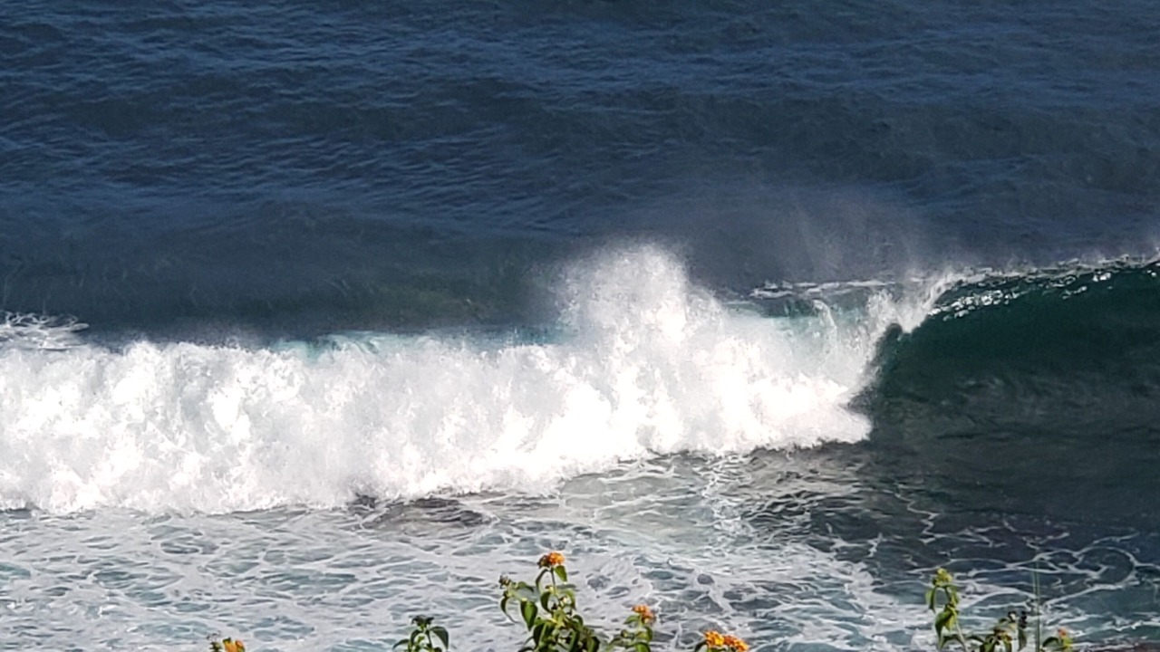 Photo of Others in Princeville