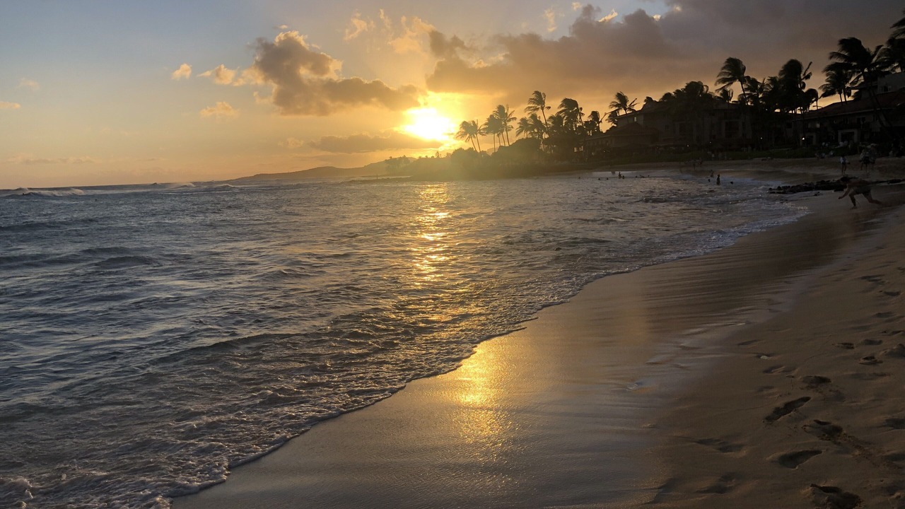 Photo of Others in Poipu