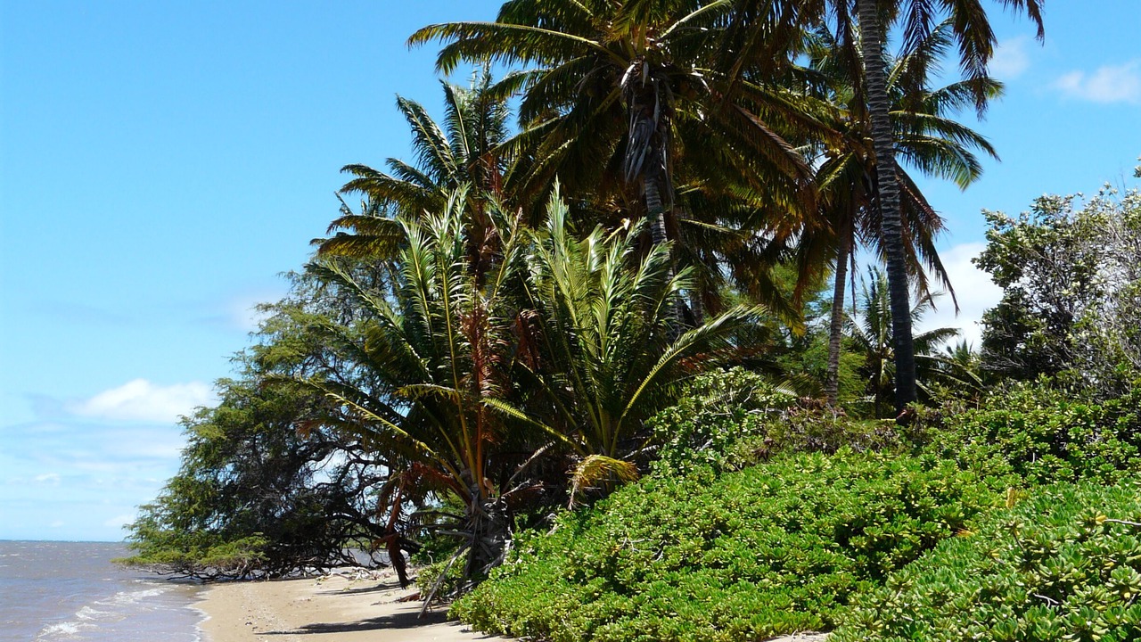 Photo of Others in Kaunakakai