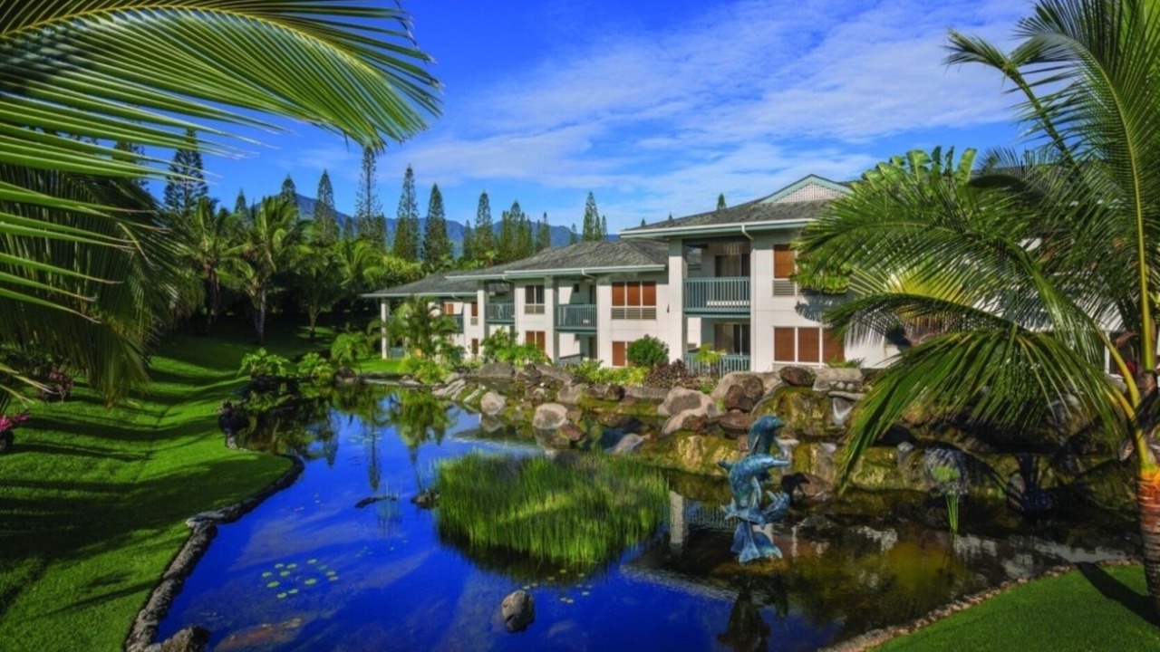 Photo of Outdoor in Princeville