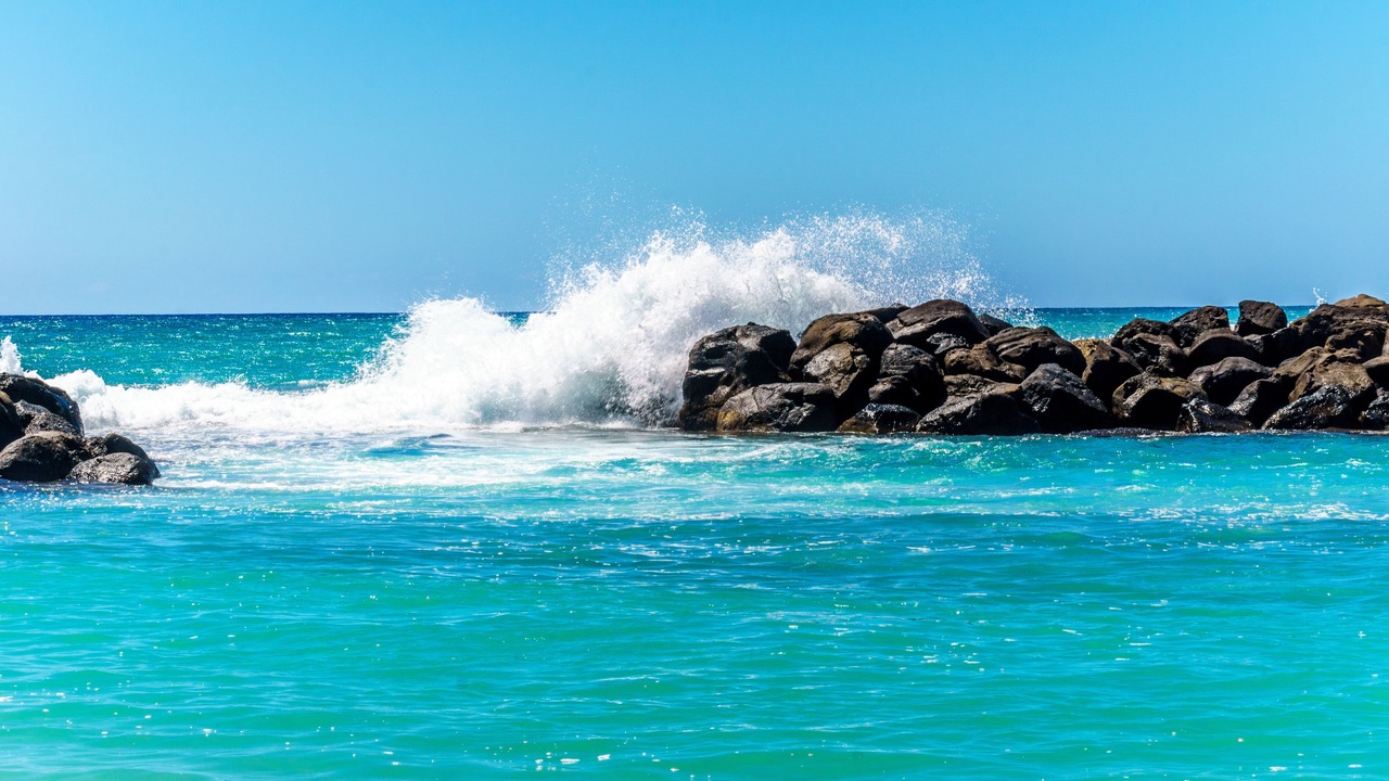 Photo of Others in Ko Olina