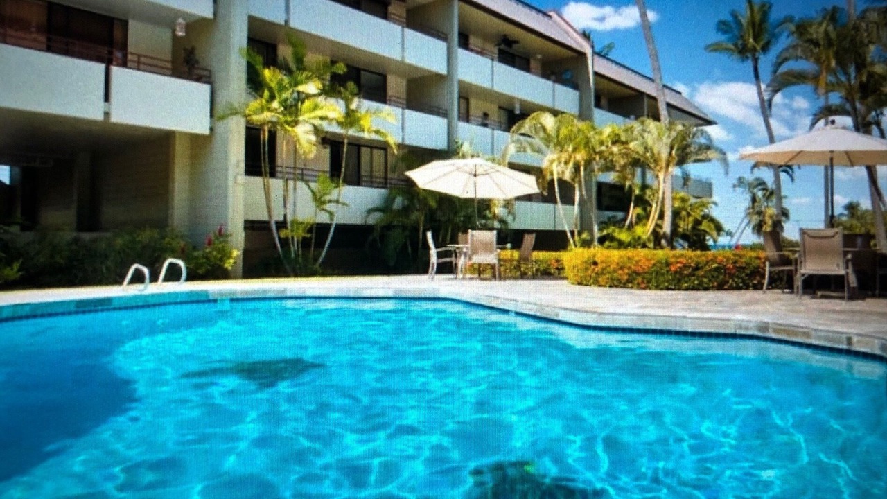 Photo of Outdoor in Kahaluu Bay