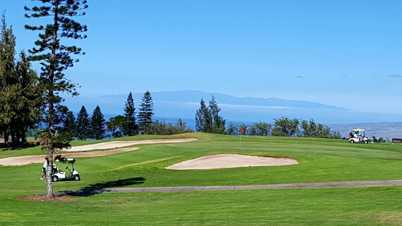 Photo of Others in Waikoloa Village