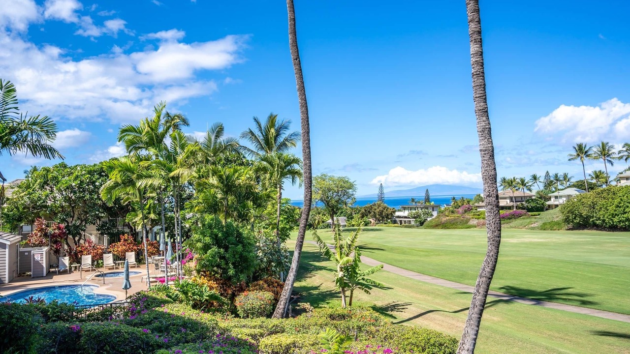 Photo of Outdoor in Wailea