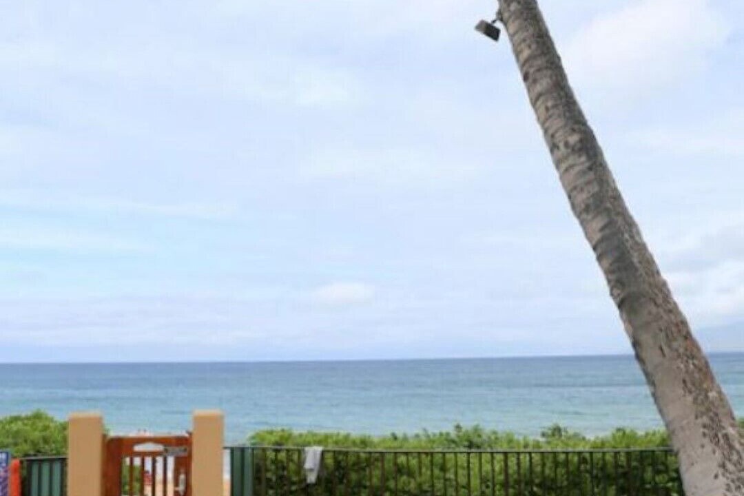 Photo of Outdoor in Wailea