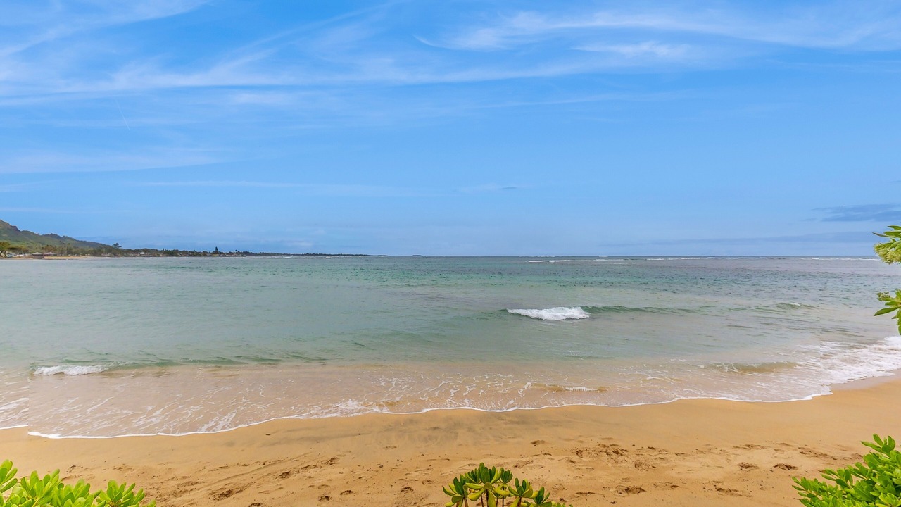 Photo of Others in Hauula