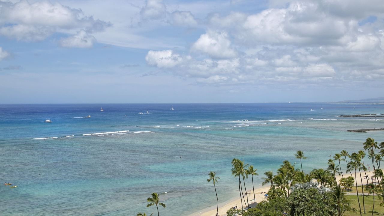 Photo of Others in Waikiki