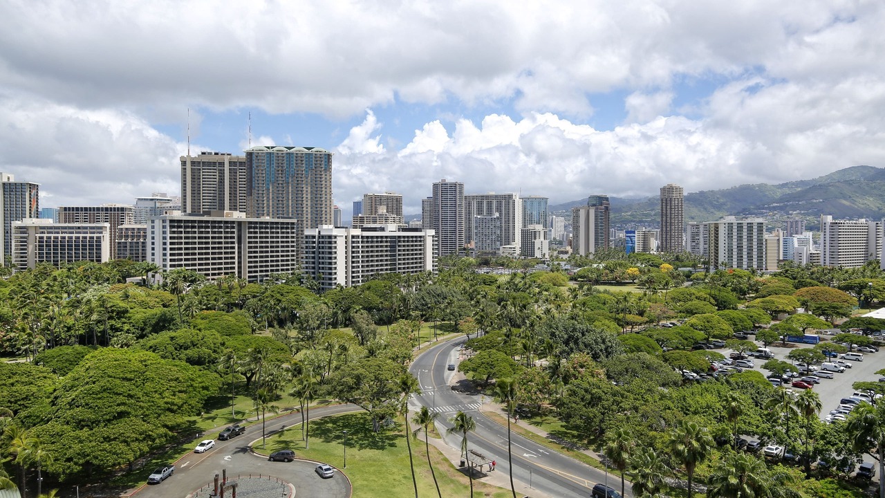Photo of Others in Waikiki