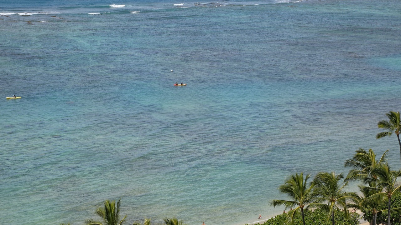 Photo of Others in Waikiki