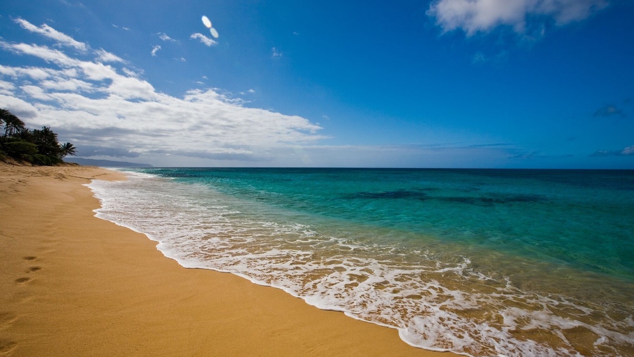 Photo of Others in Waikiki
