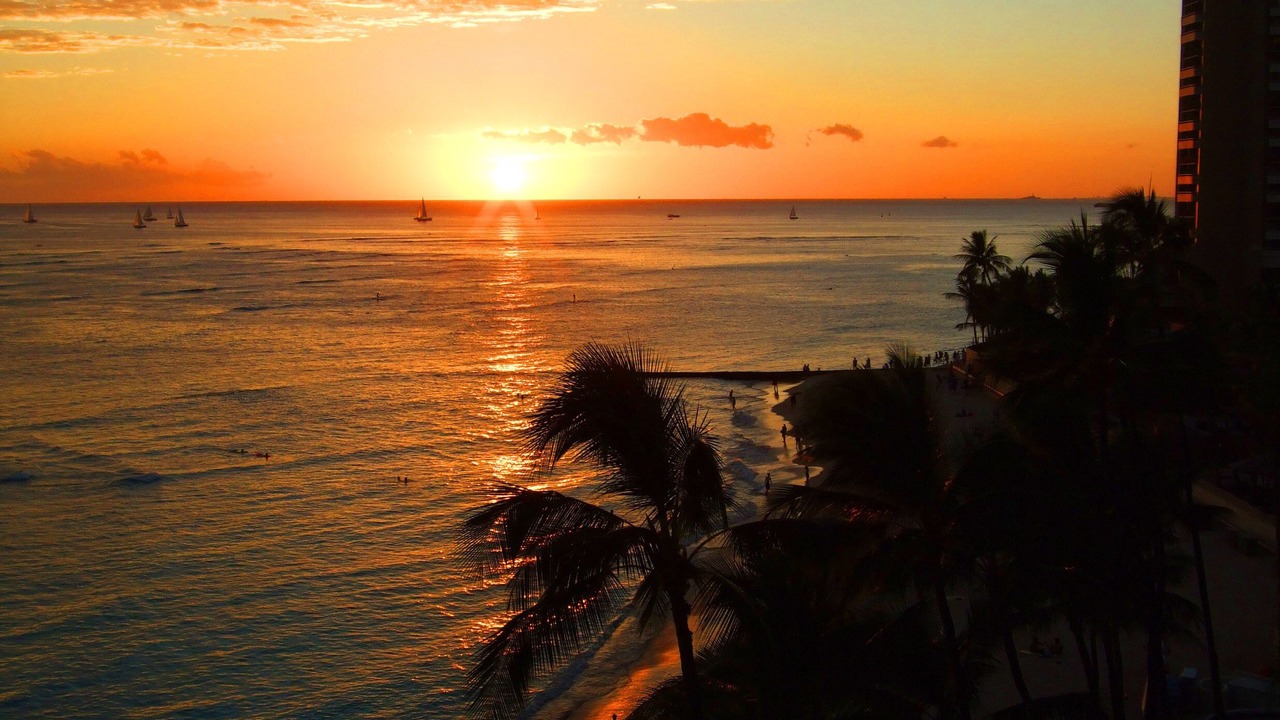 Photo of Others in Waikiki