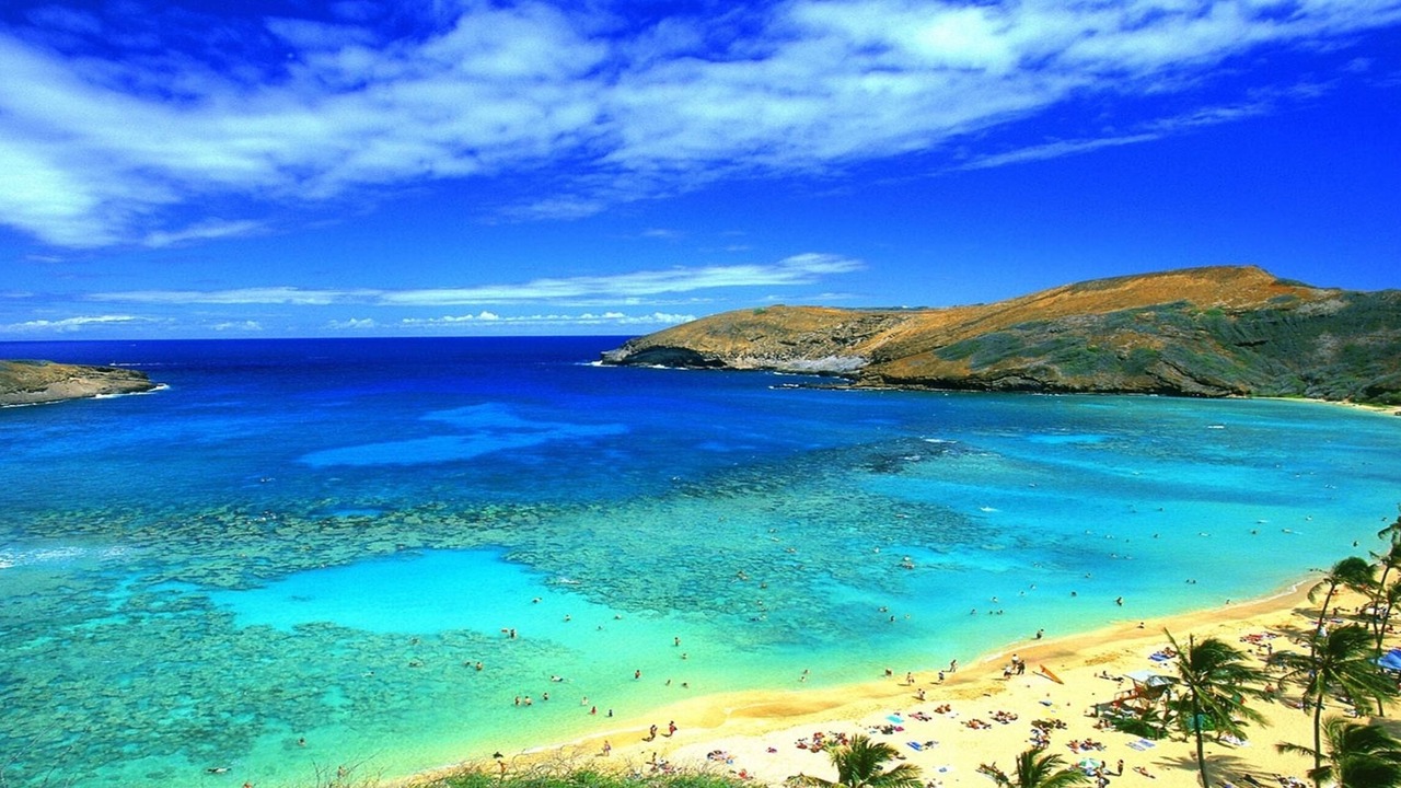 Photo of Others in Waikiki