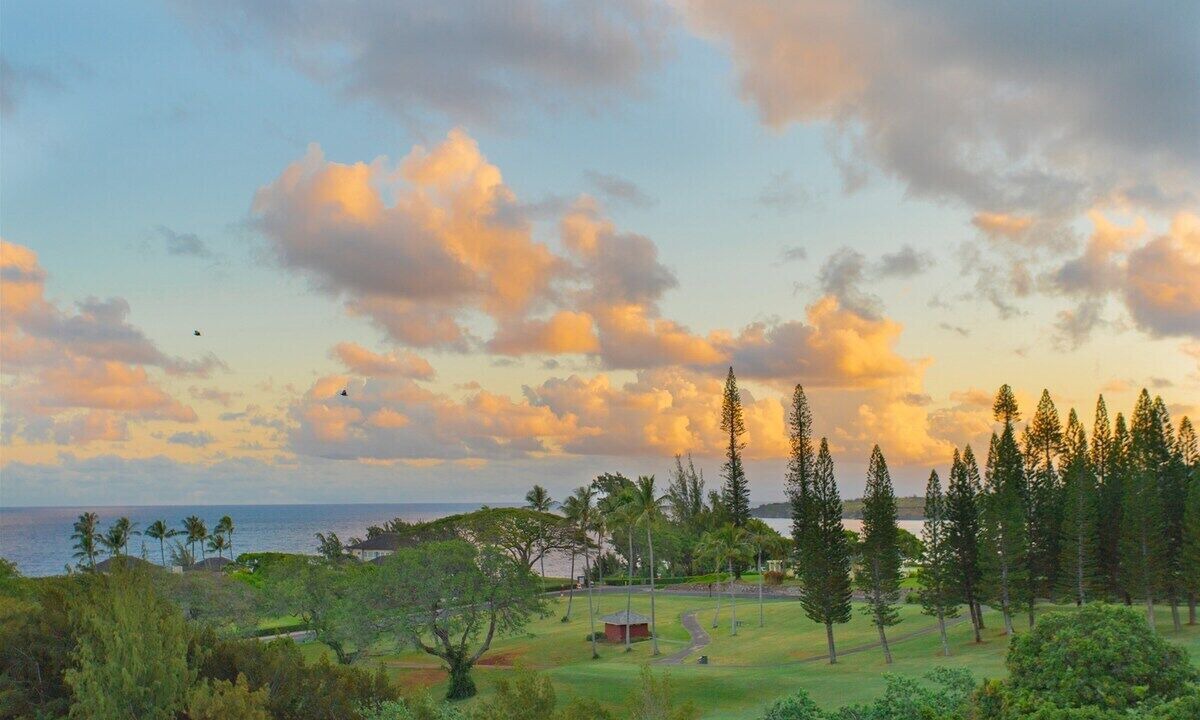 Photo of Others in Kapalua
