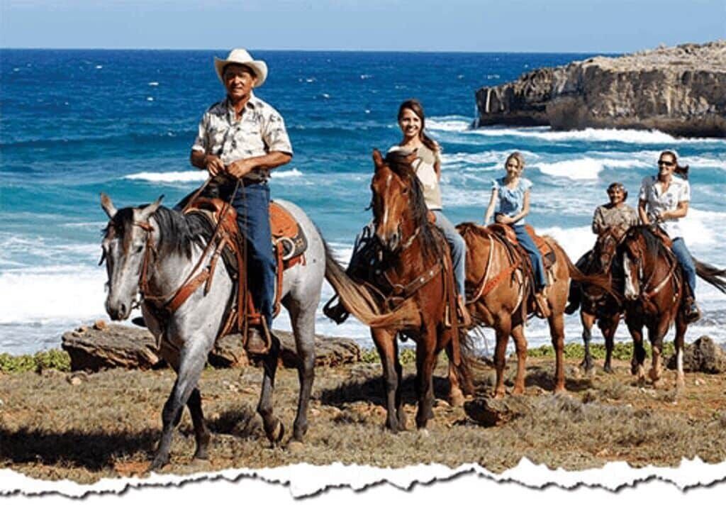 Photo of Others in Wailua