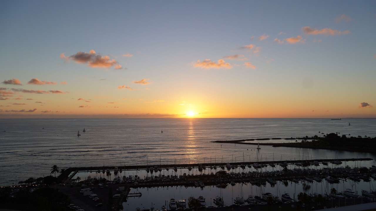 Photo of Others in Waikiki