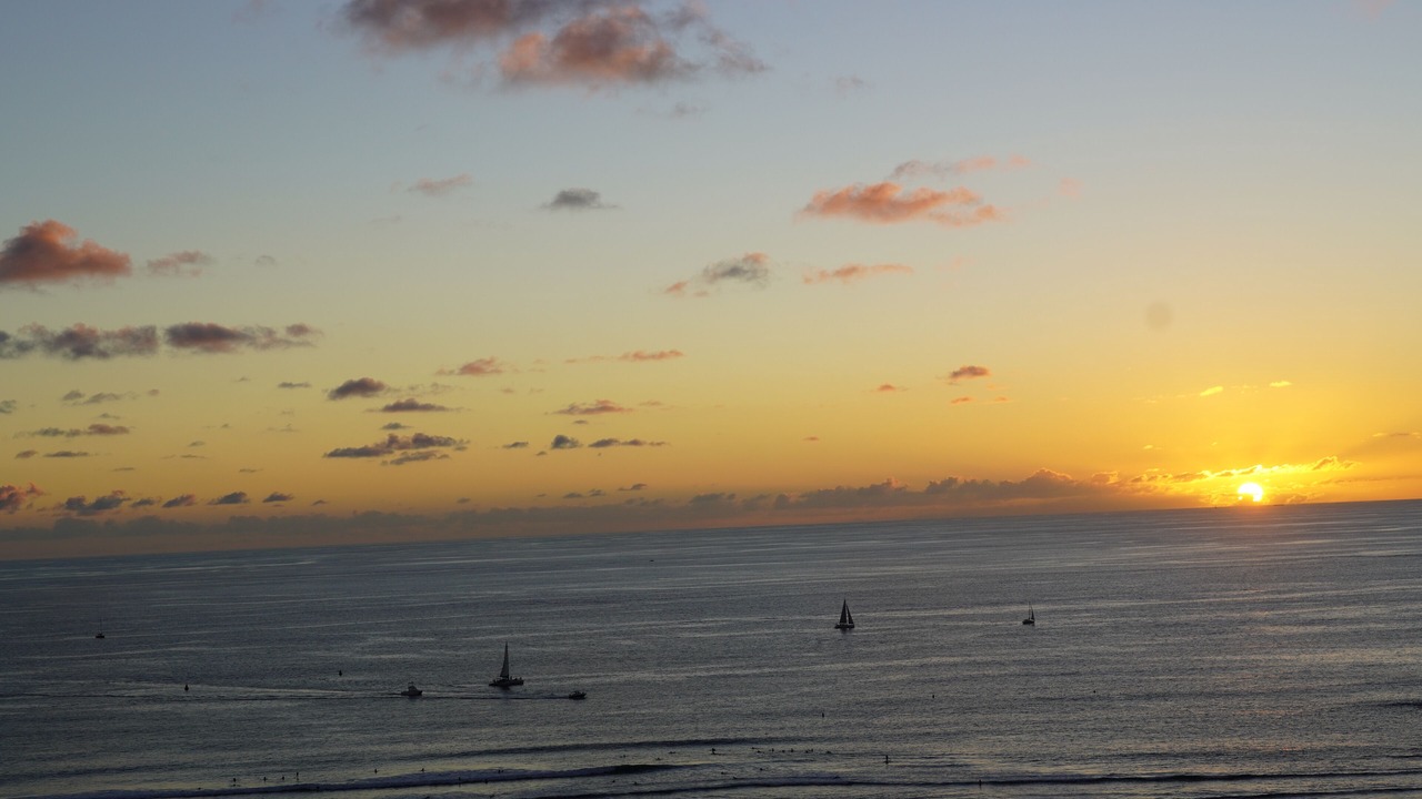 Photo of Others in Waikiki