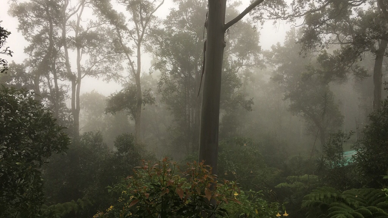 Photo of Outdoor in Kailua-Kona