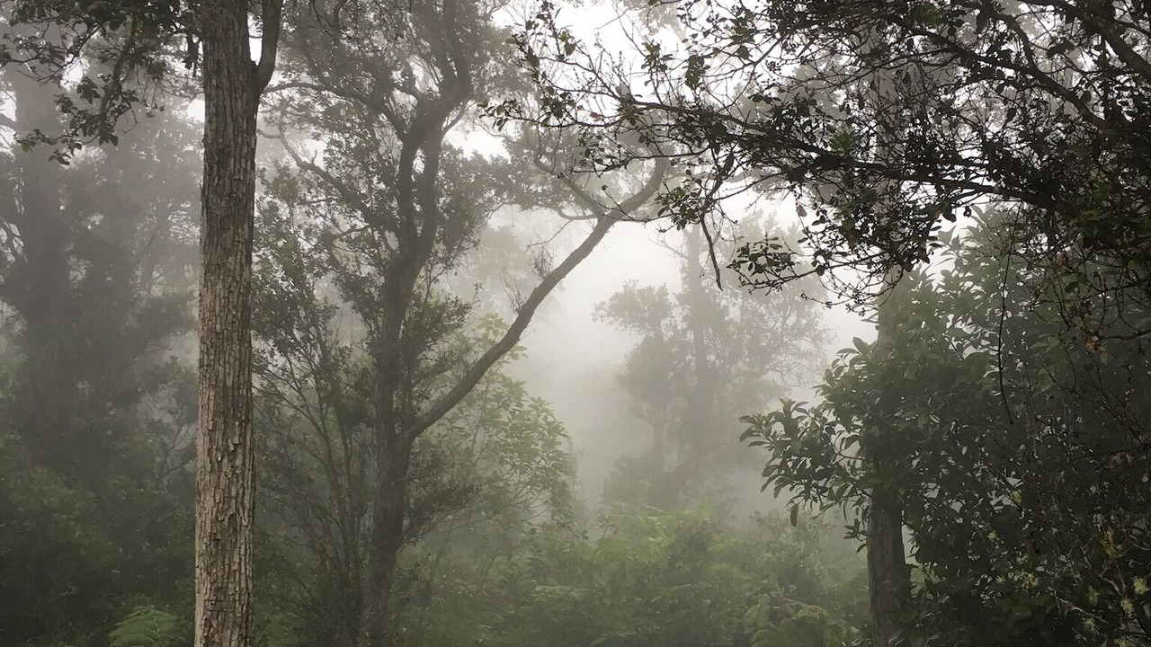 Photo of Outdoor in Kailua-Kona