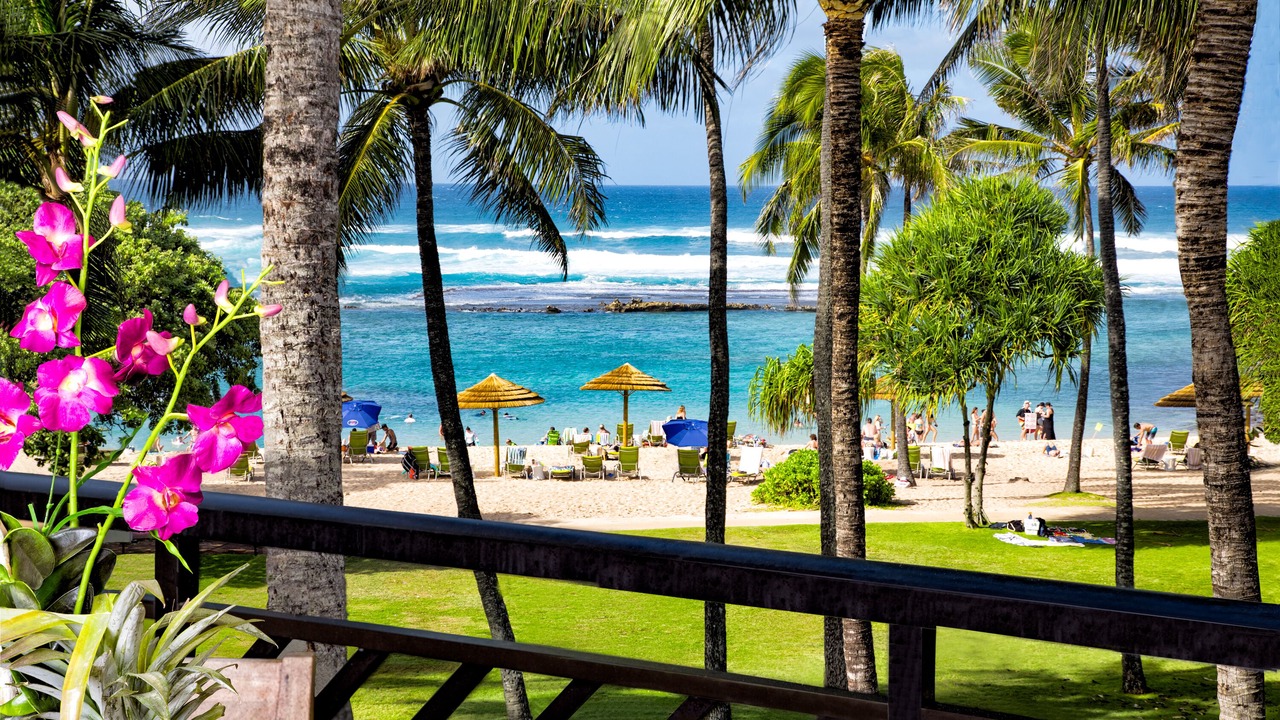 Photo of Outdoor in Kahuku