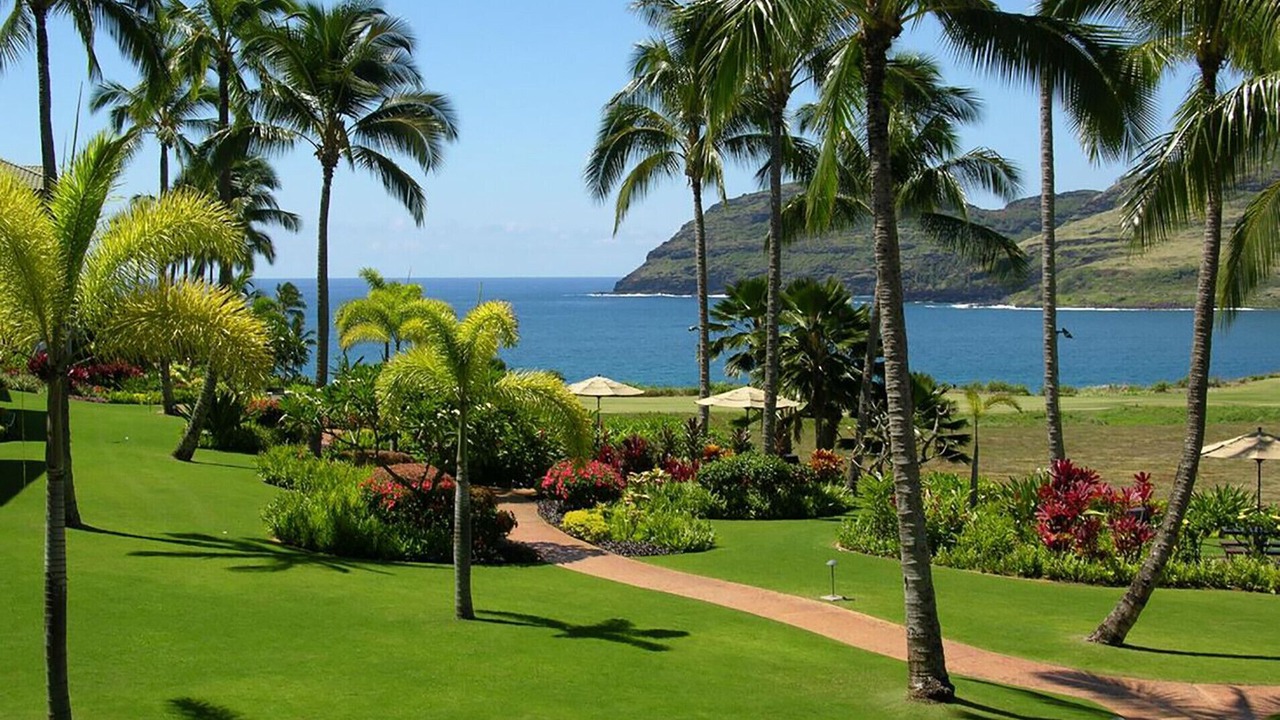 Photo of Outdoor in Lihue