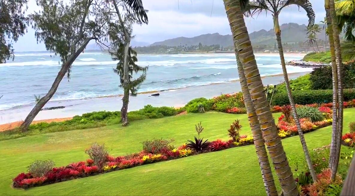Photo of Others in Wailua