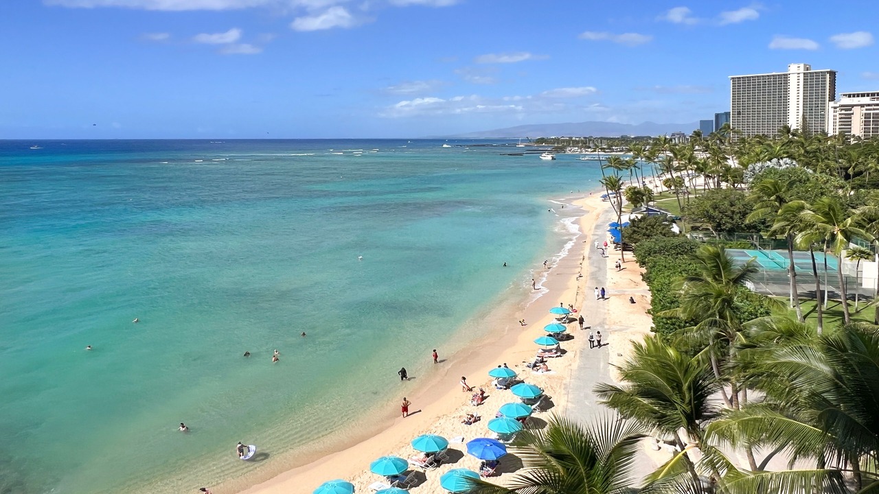 Photo of Others in Waikiki