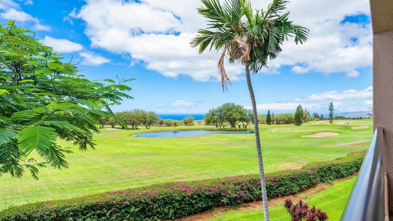 Photo of Others in Waikoloa Village