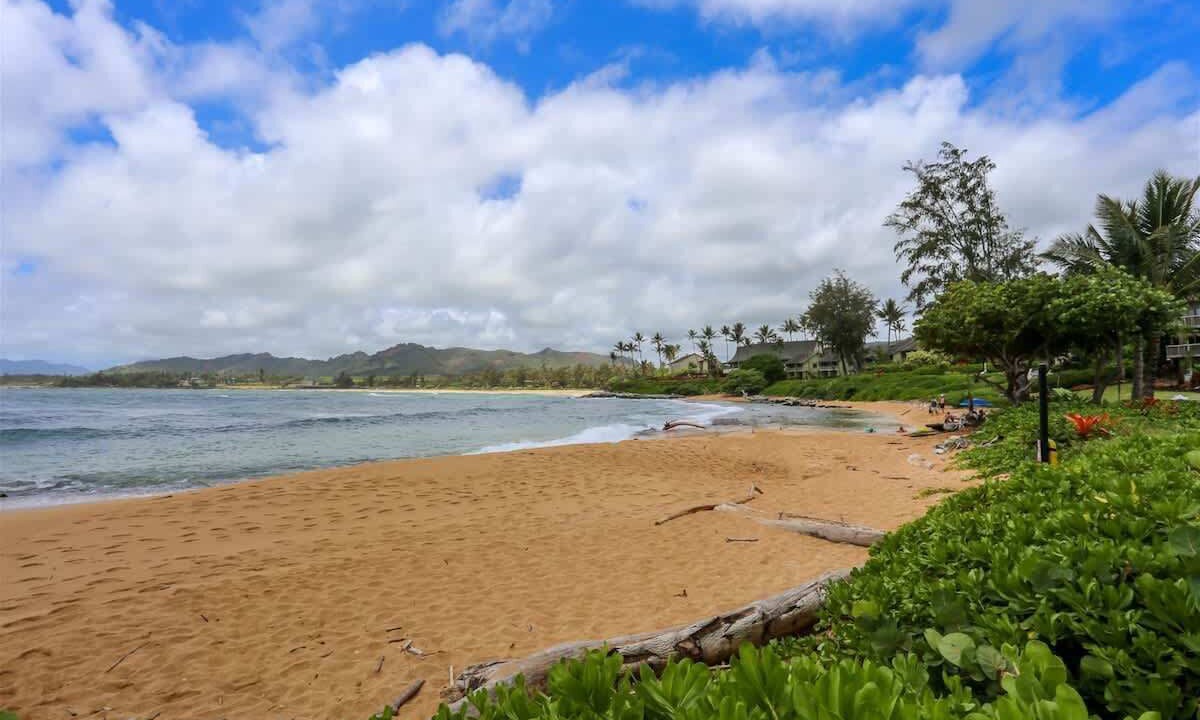 Photo of Others in Wailua