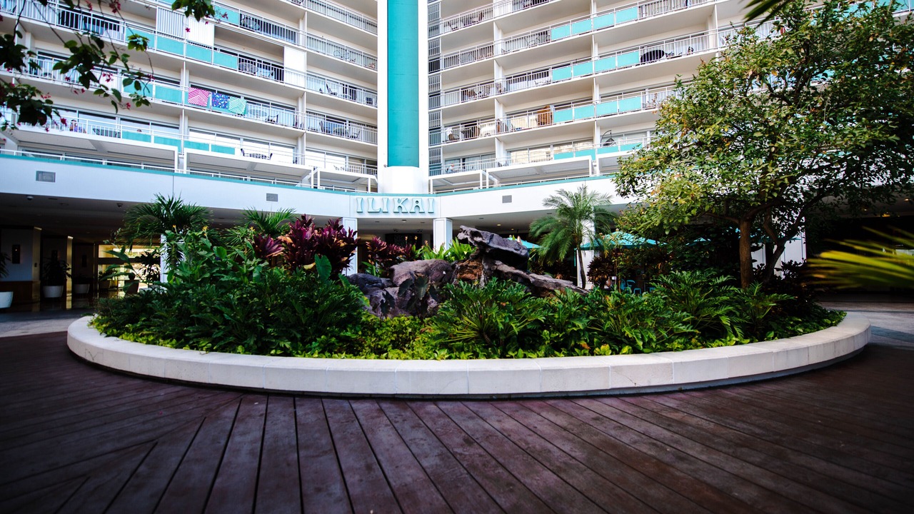 Photo of Outdoor in Waikiki