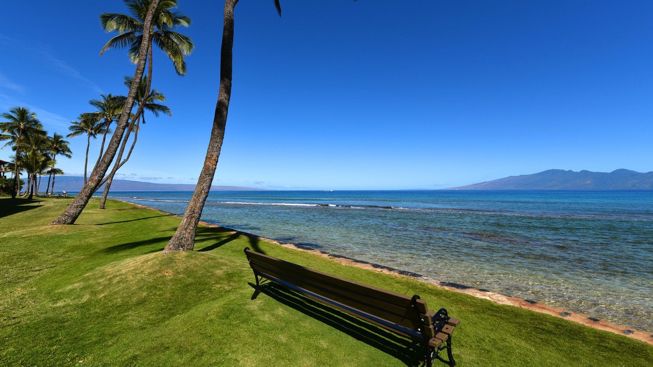 Photo of Others in Honokowai