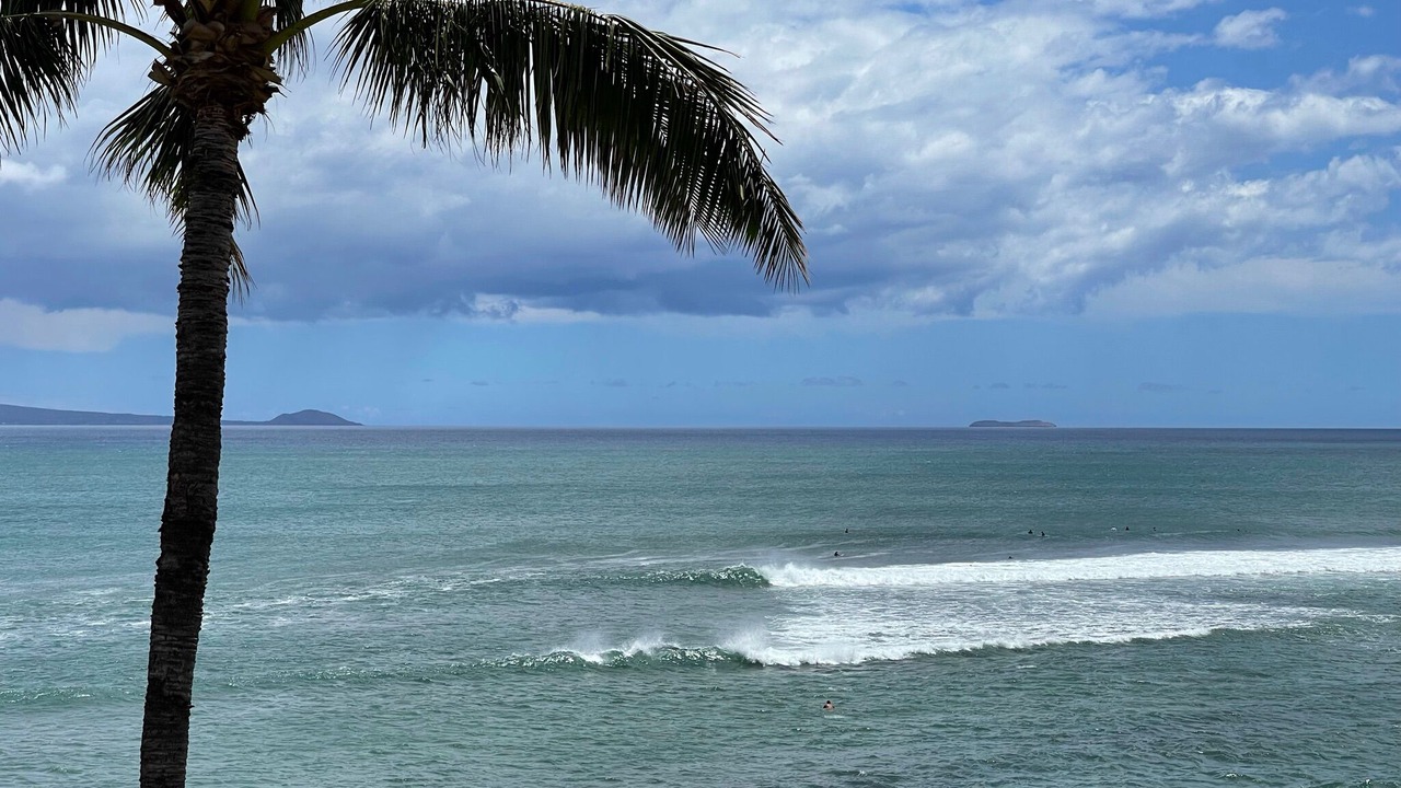 Photo of Others in Maalaea