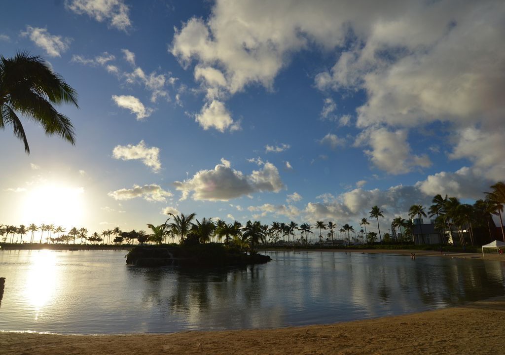 Photo of Others in Waikiki