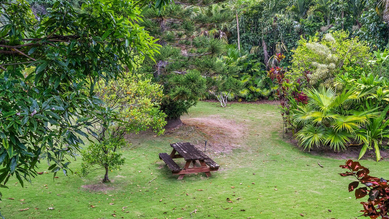Photo of Others in Kilauea