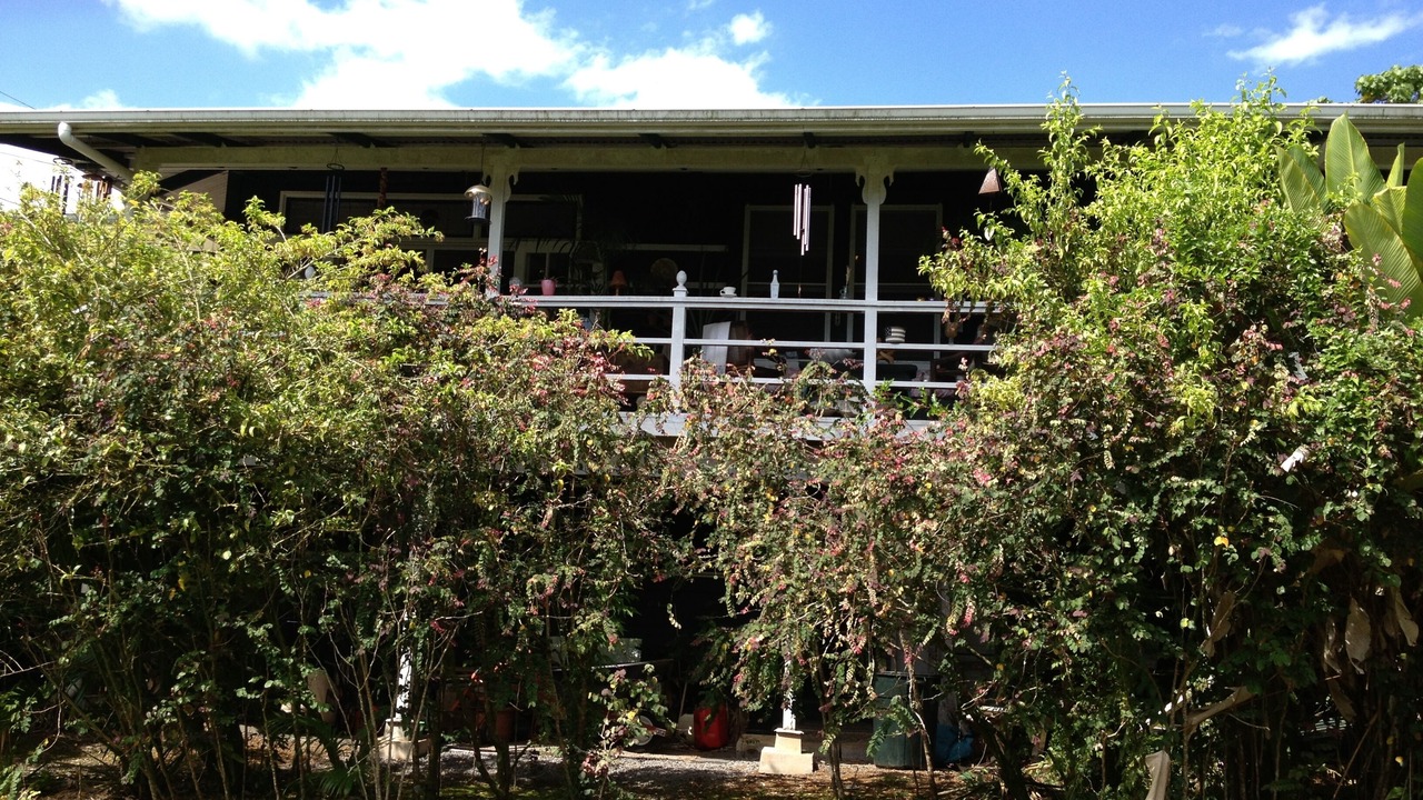 Photo of Outdoor in Hilo
