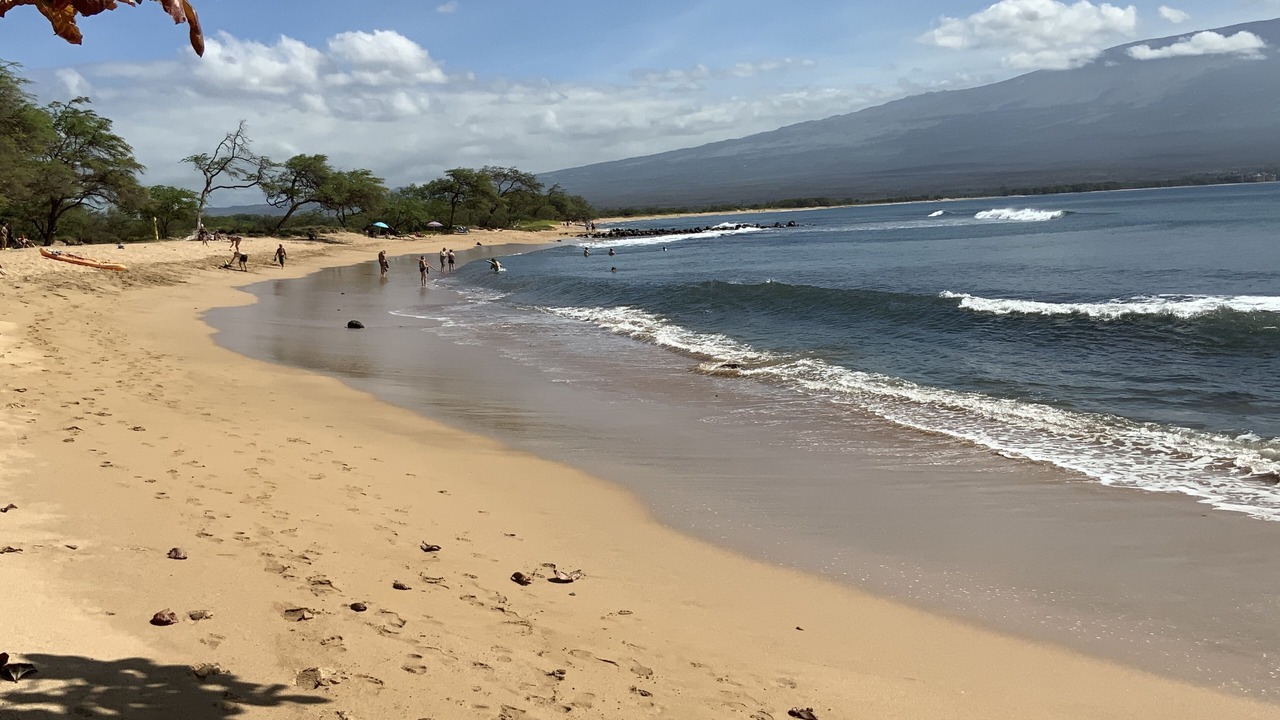Photo of Others in Maalaea
