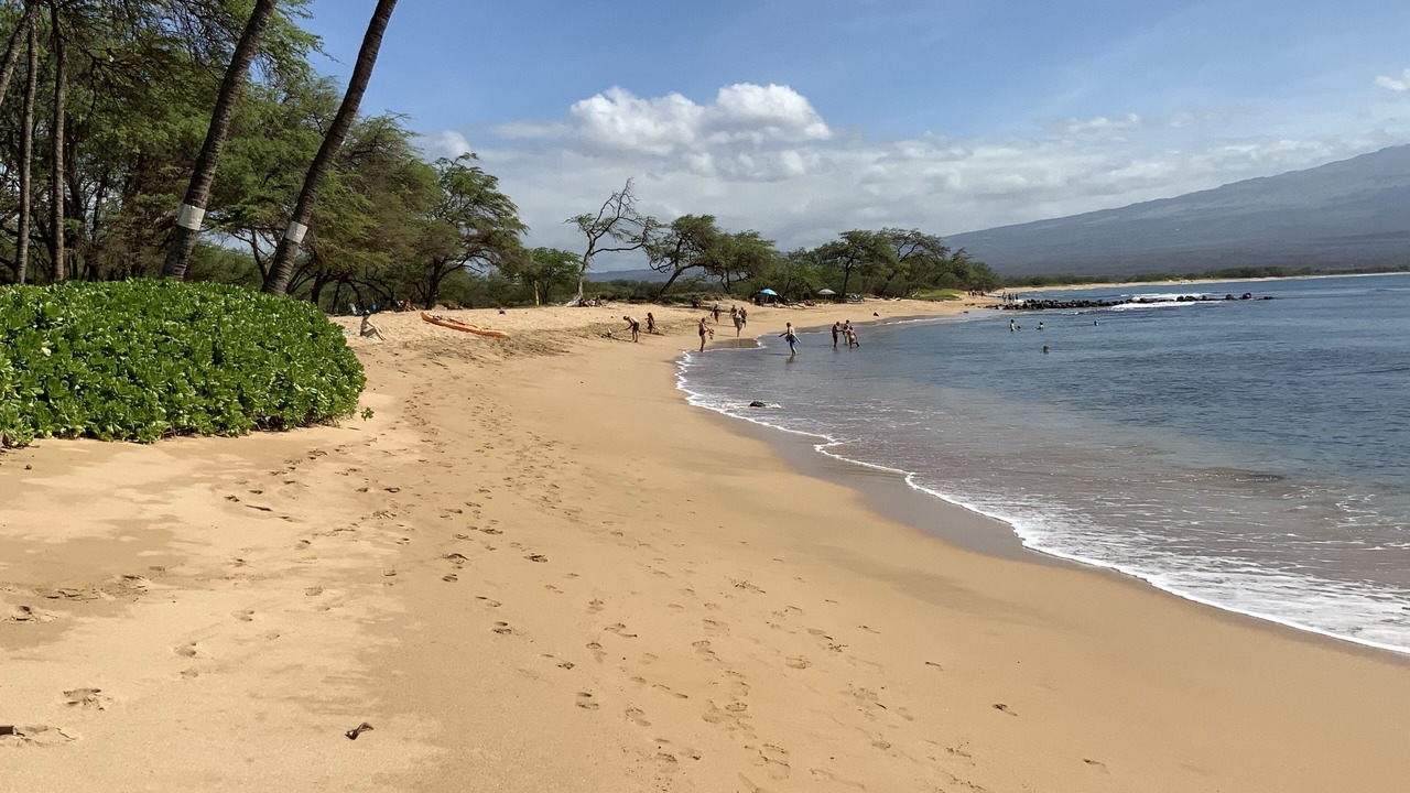 Photo of Others in Maalaea