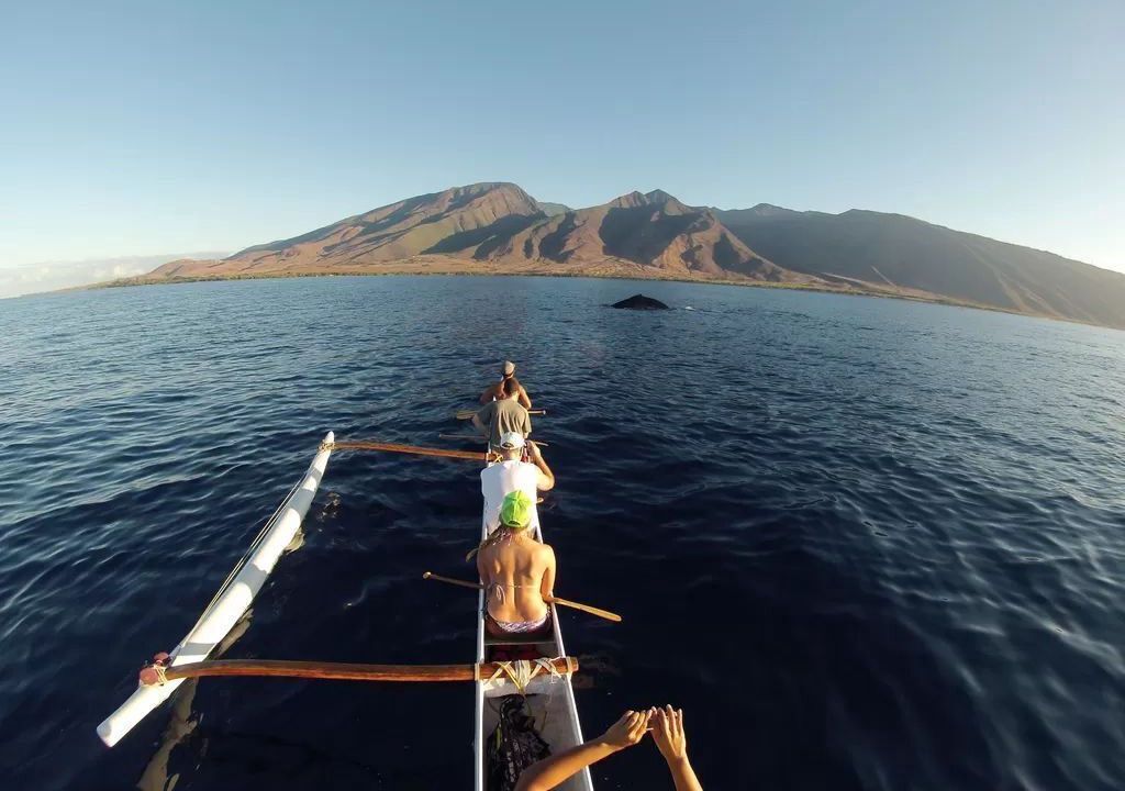 Photo of Others in Lahaina