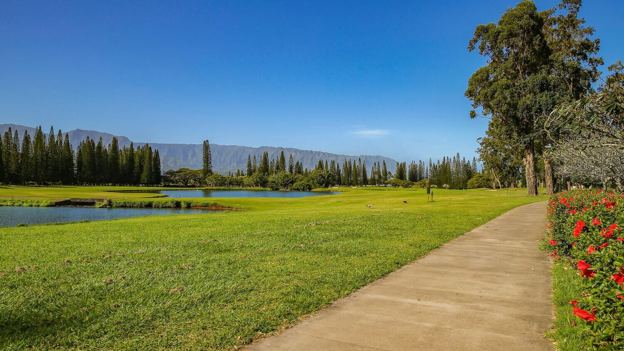 Photo of Outdoor in Princeville