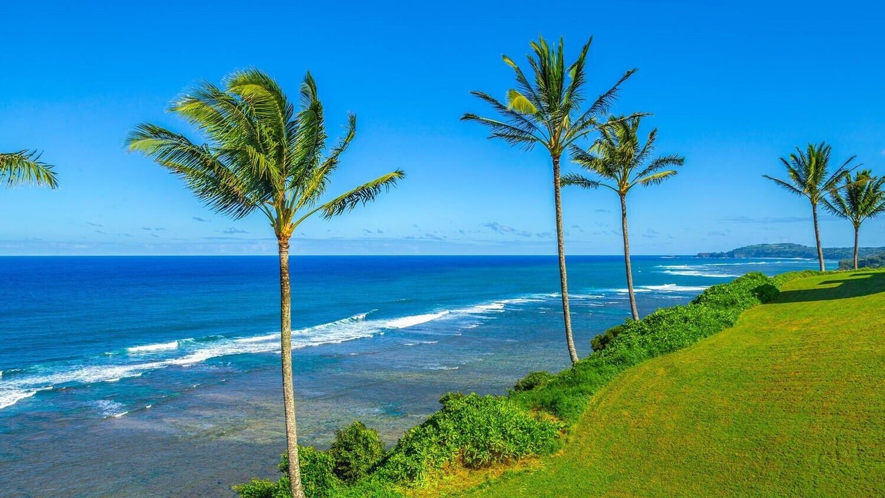 Photo of Others in Princeville