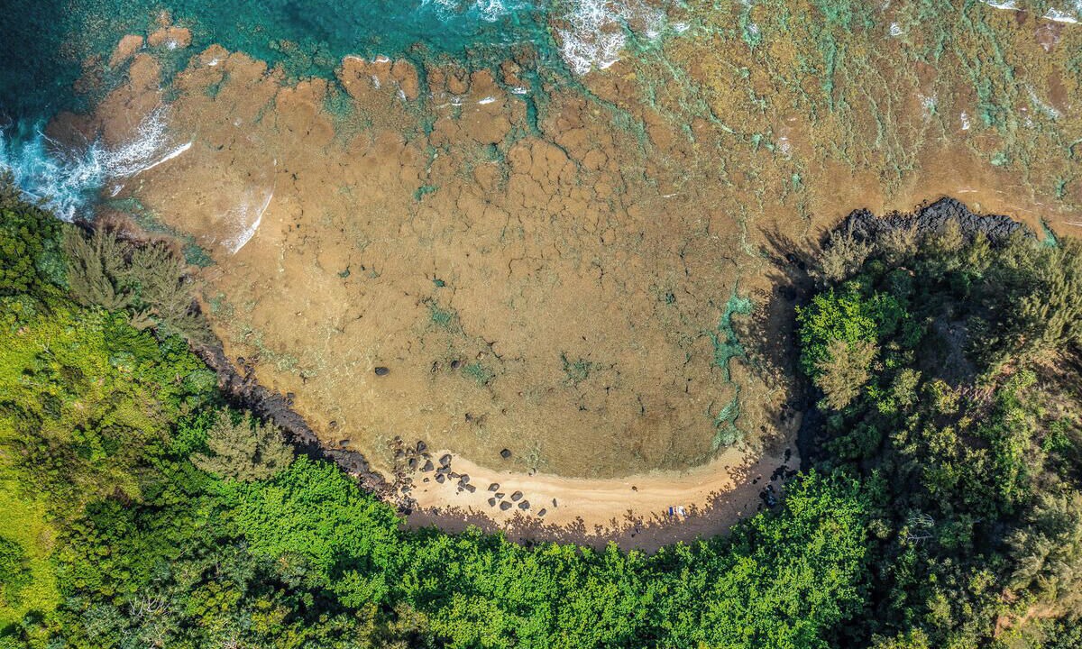 Photo of Others in Princeville