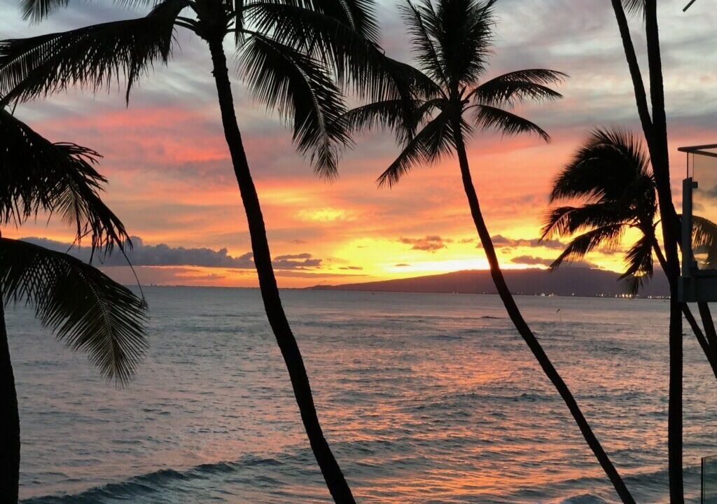 Photo of Others in Diamond Head - Kapahulu - St. Louis