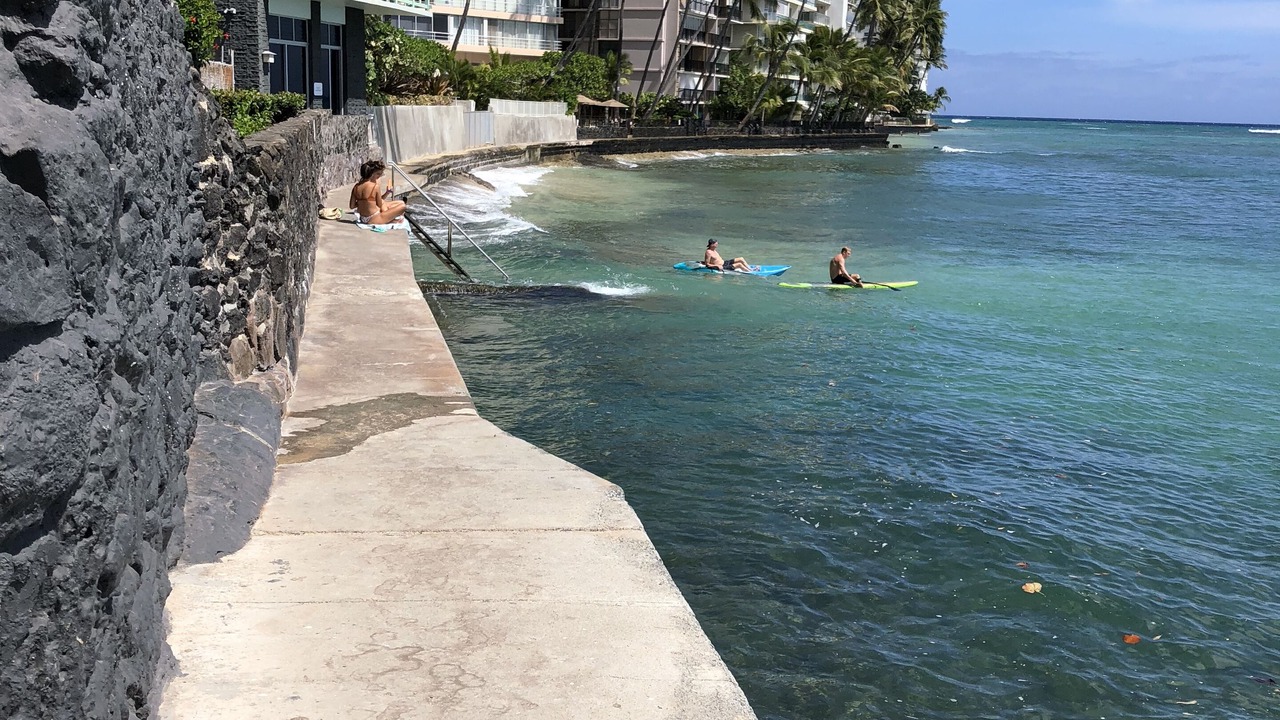 Photo of Others in Diamond Head - Kapahulu - St. Louis