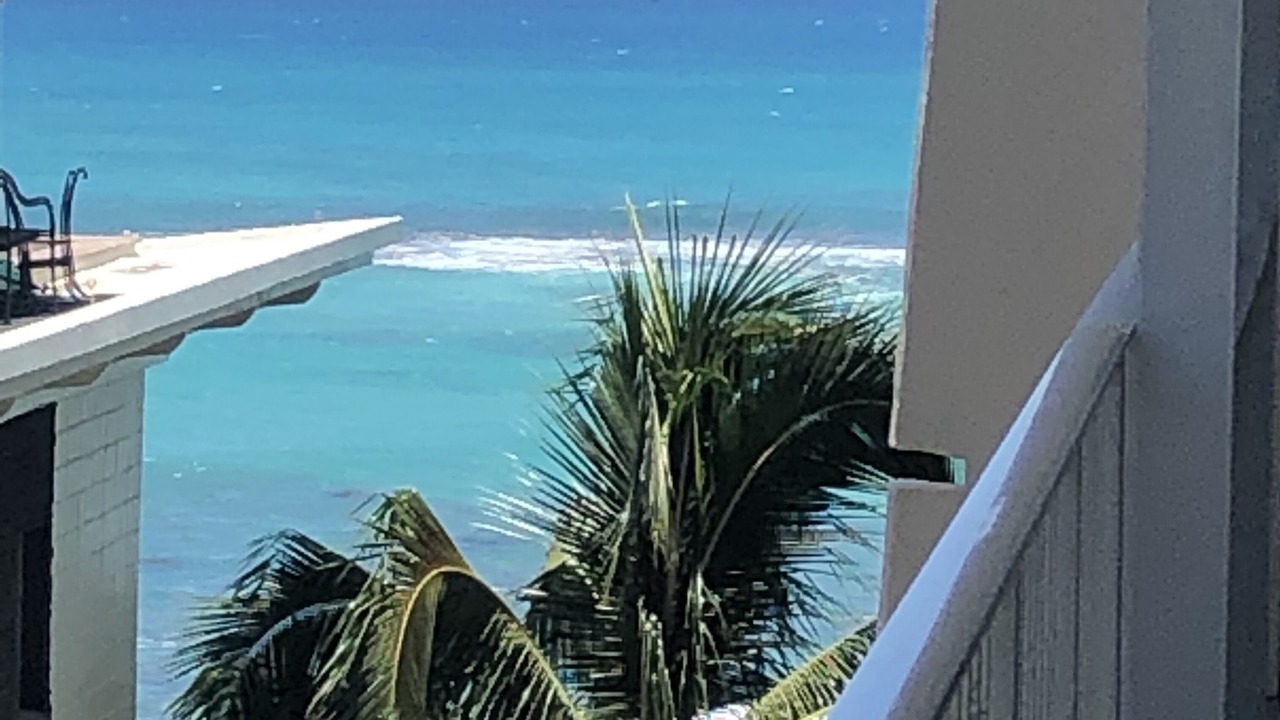 Photo of Others in Diamond Head - Kapahulu - St. Louis