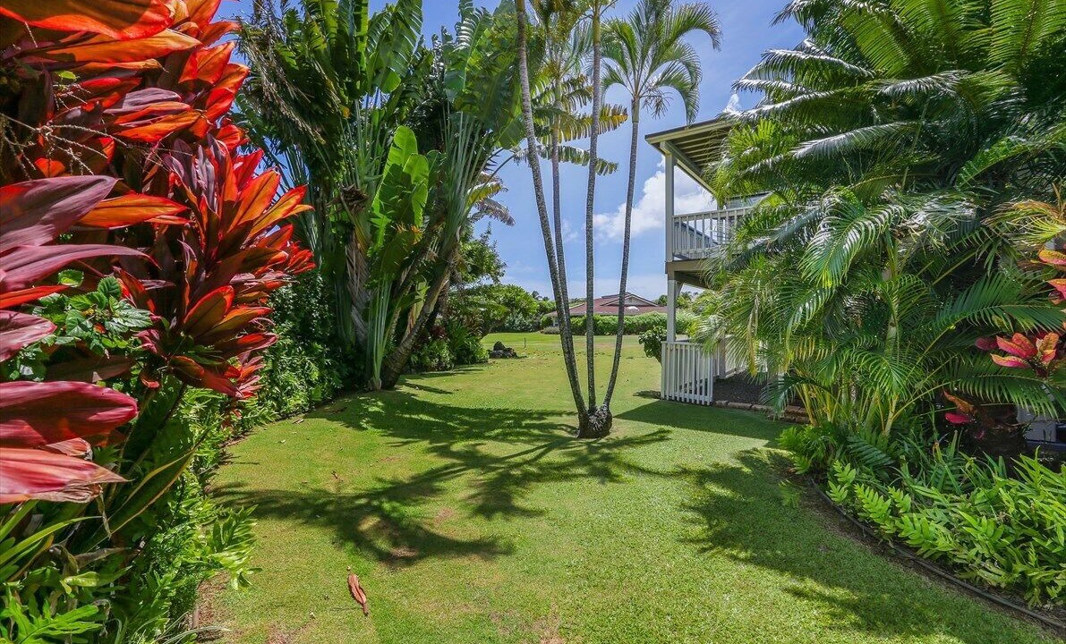 Photo of Others in Poipu