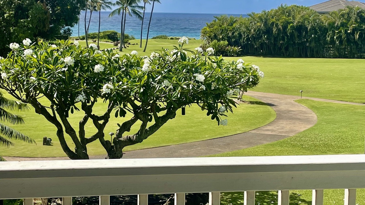 Photo of Outdoor in Poipu