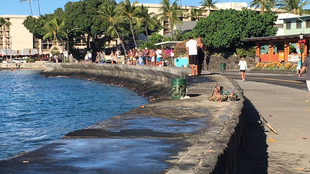 Photo of Others in Historic Kailua Village